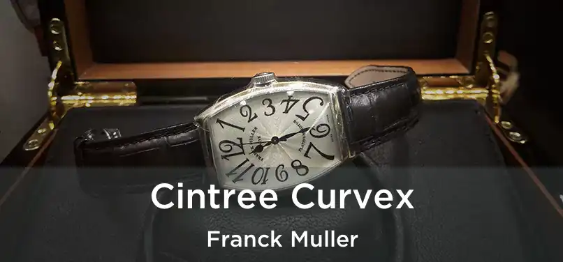  Cintree Curvex Franck Muller