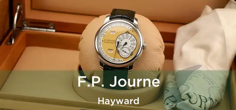  F.P. Journe Hayward