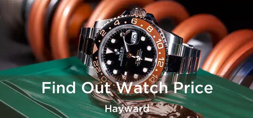  Find Out Watch Price Hayward