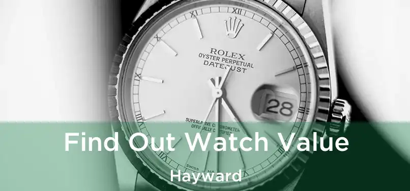  Find Out Watch Value Hayward