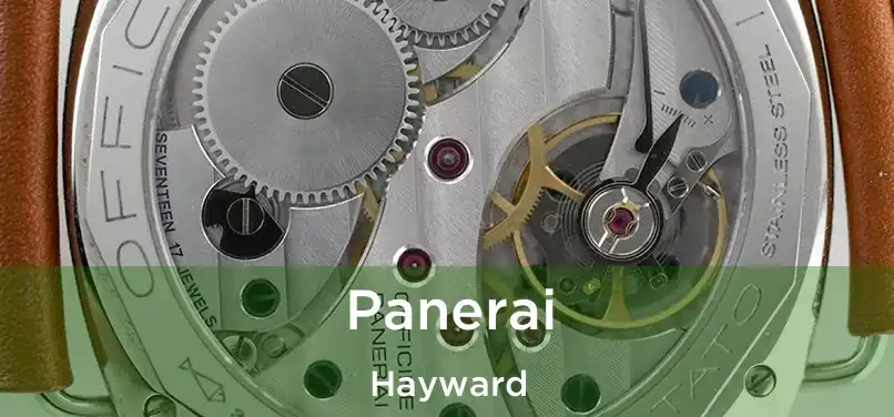  Panerai Hayward