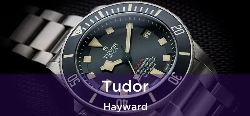  Tudor Hayward