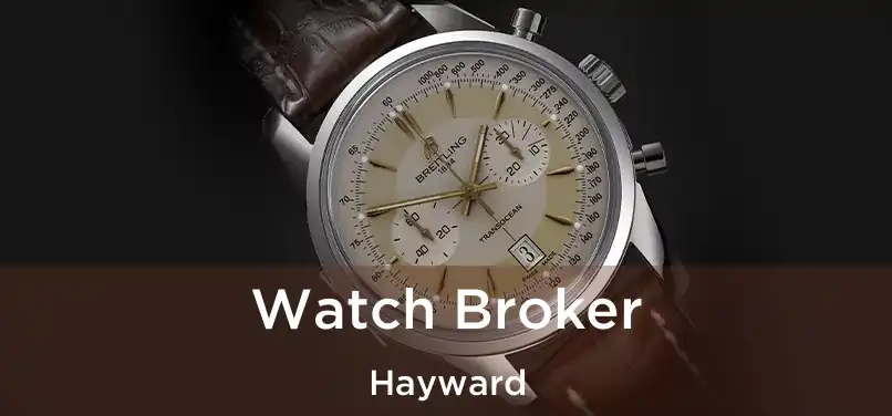  Watch Broker Hayward