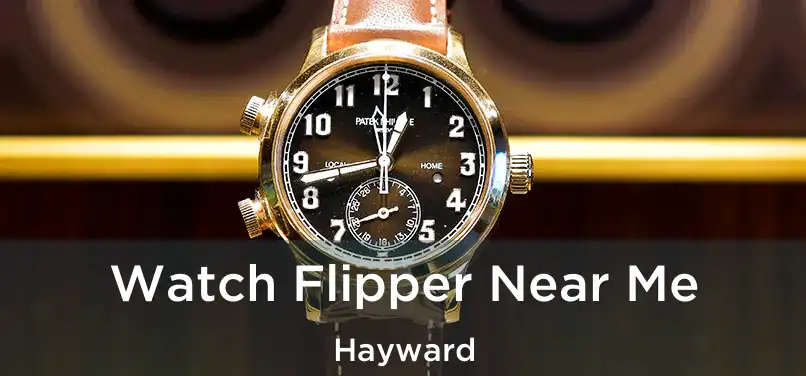  Watch Flipper Near Me Hayward