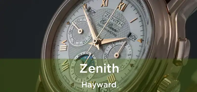  Zenith Hayward